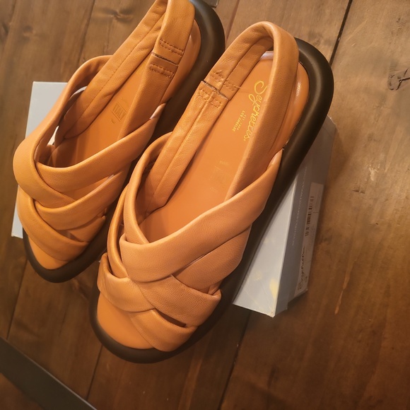 Seychelles Punchline - Picture 2 of 6